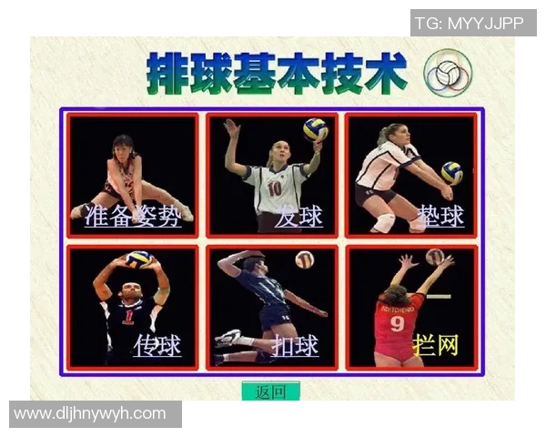 排球之光：深入分析成都排球队员的独特技能与战术配合